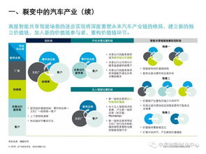 中国汽车行业风险分析报告 汽车产业迎挑战与防风险指南